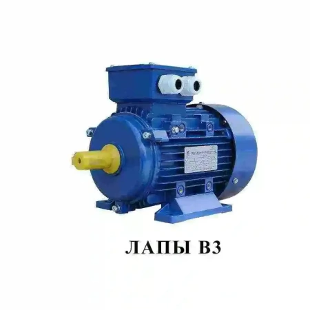 Электродвигатель АИР 315 S6 (110 кВт 1000 об/мин)